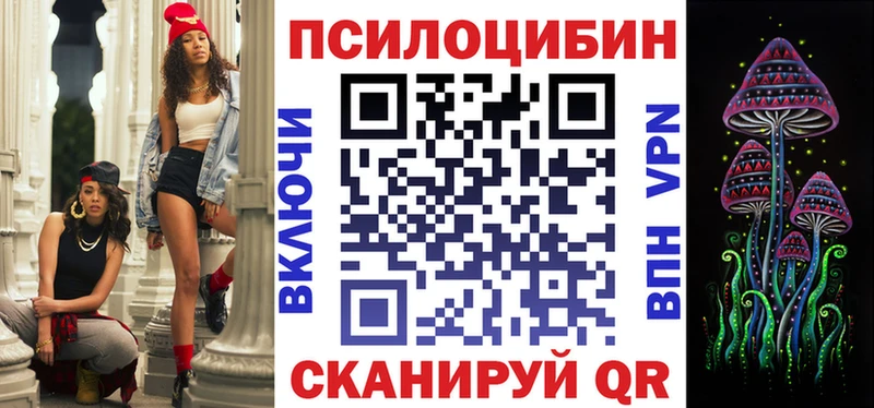 купить наркотик  Брюховецкая  Псилоцибиновые грибы Psilocybe 